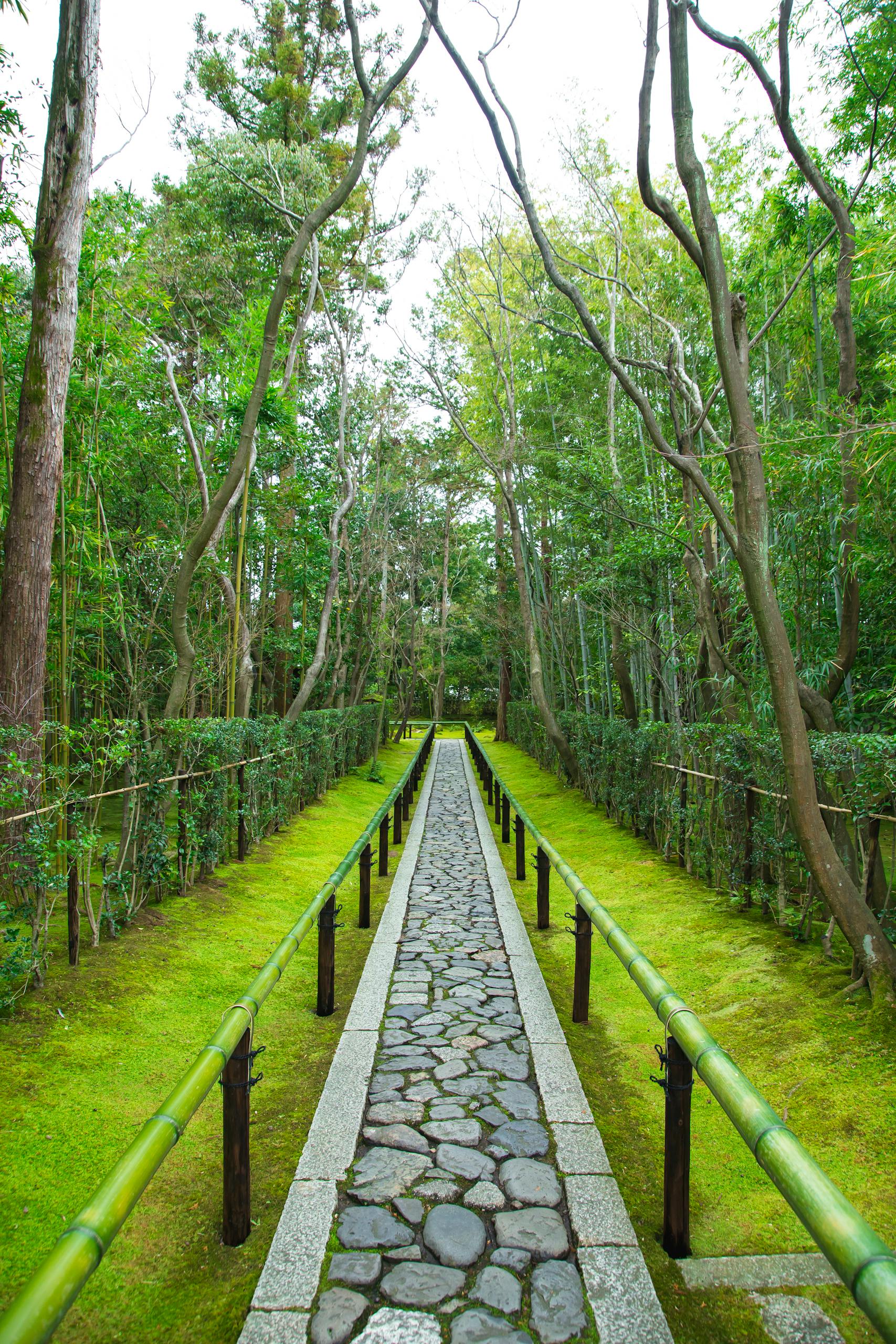 Empty stone walkway with bamboo railings located in green tropical garden on territory of ancient Daitoku ji Buddhist temple
